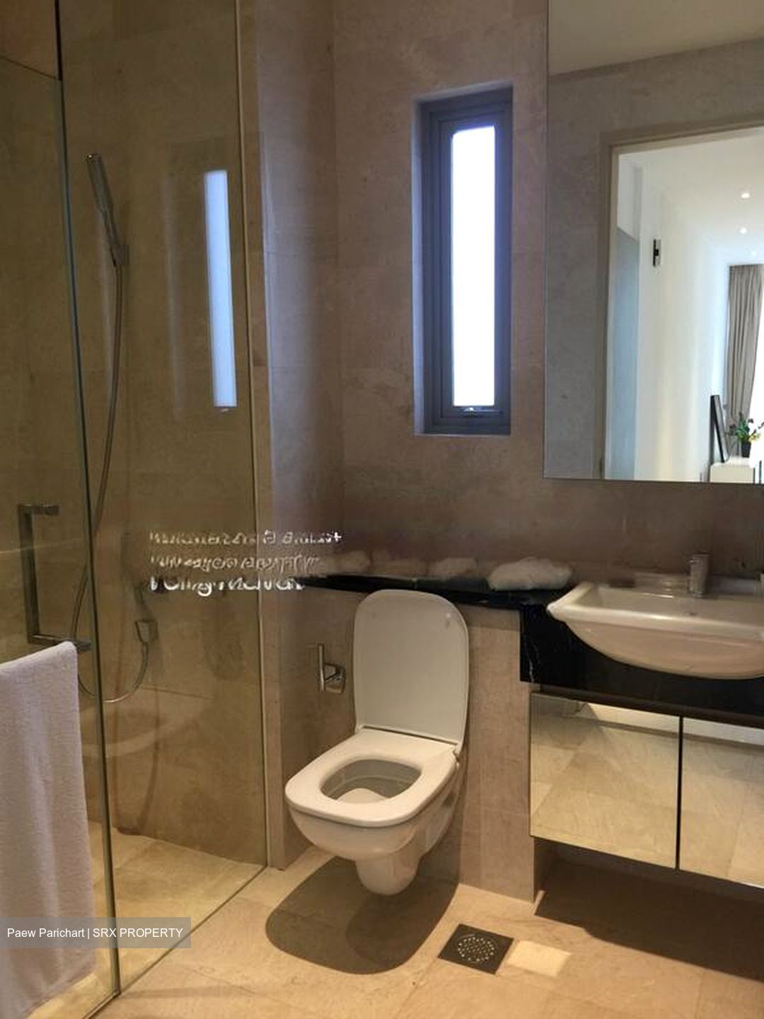 The Boutiq (D9), Apartment #454987421